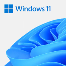 Microsoft Windows 11