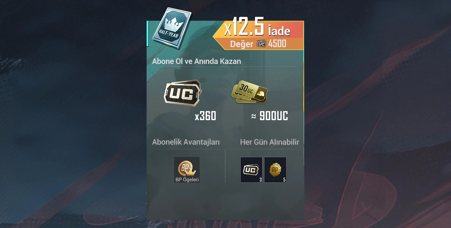 Pubg Mobile Prime 6 Aylıq 