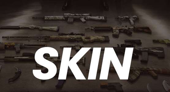 CS:GO Skin