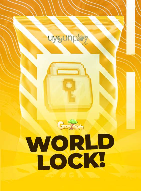 World Lock