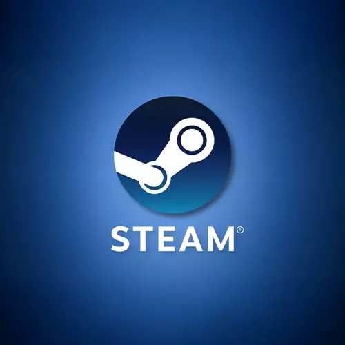 Steam